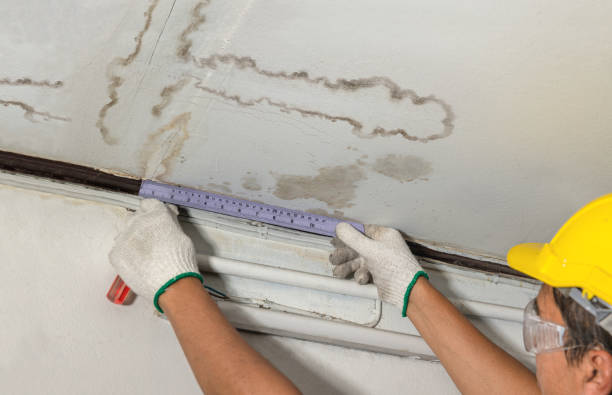 Reliable Structural Drying contractor in West New York, NJ by Water Damage Irwin